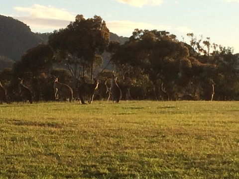 Grapevines Boutique Accommodation - Queensland Tourism 26