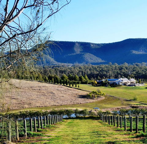Grapevines Boutique Accommodation - Queensland Tourism 5