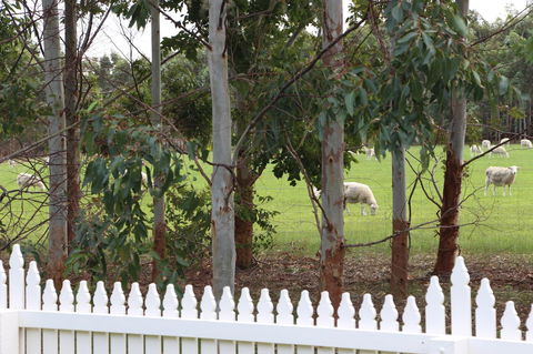Sapphire Chalets, Augusta - Queensland Tourism 9