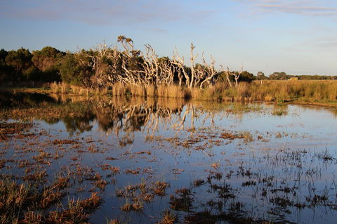 Sapphire Chalets, Augusta - Queensland Tourism 13