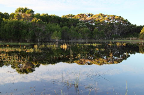 Sapphire Chalets, Augusta - Queensland Tourism 14