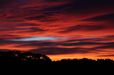 Sapphire Chalets, Augusta - Queensland Tourism 15