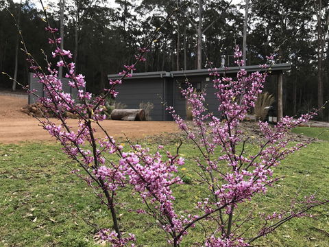 The Floating Forest - QLD Tourism 15