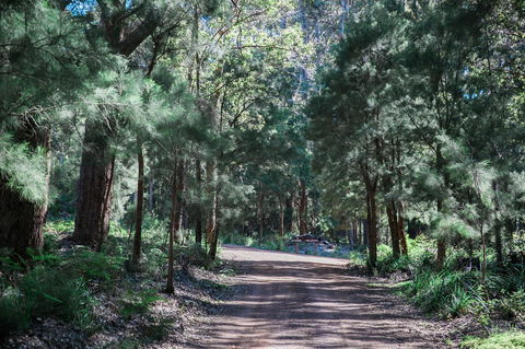 The Floating Forest - QLD Tourism 30