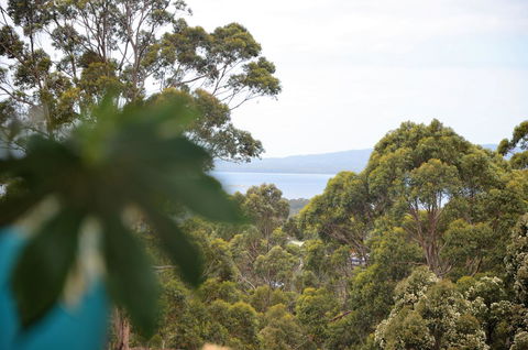 The Floating Forest - QLD Tourism 8