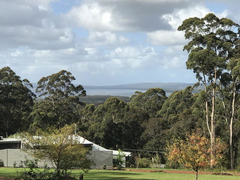 The Floating Forest - QLD Tourism 2