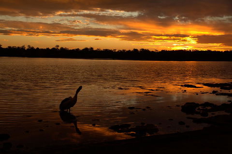 Dungowan Holiday Accommodation - QLD Tourism 31