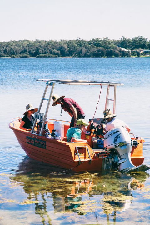 Dungowan Holiday Accommodation - QLD Tourism 39