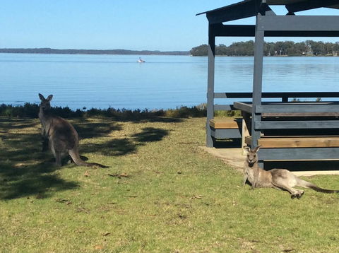 Dungowan Holiday Accommodation - QLD Tourism 33