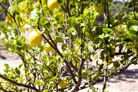 The Heights Bed & Breakfast - QLD Tourism 17