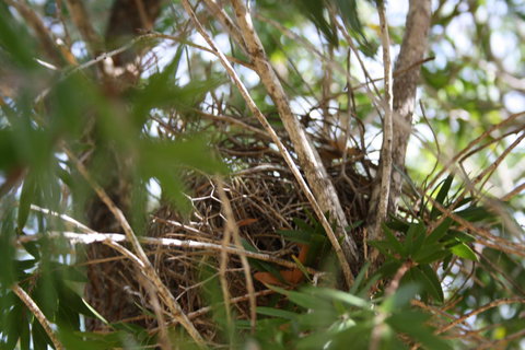 The Heights Bed & Breakfast - QLD Tourism 7