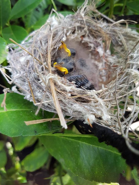 The Heights Bed & Breakfast - QLD Tourism 2