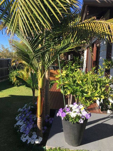 Bella Bali Gardens - Queensland Tourism 23