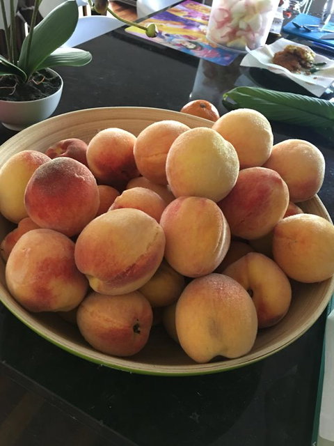 Bella Bali Gardens - Queensland Tourism 27