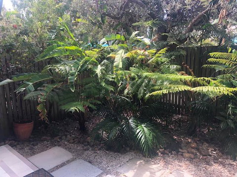 East On Byron - QLD Tourism 40