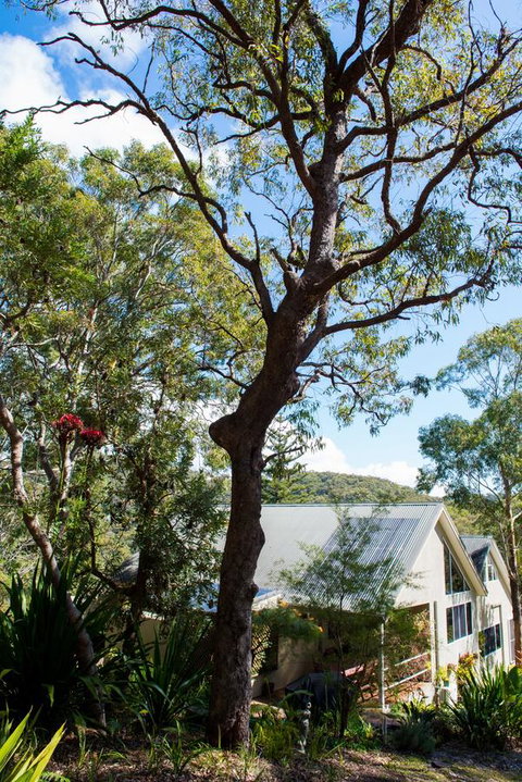 Nelson Bay Bed & Breakfast - QLD Tourism 42