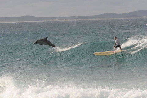 Crescent Head Spa Villa - QLD Tourism 22