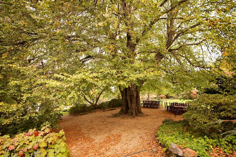 Nesuto Leura Gardens (formerly Waldorf Leura Gardens Resort) - QLD Tourism 1