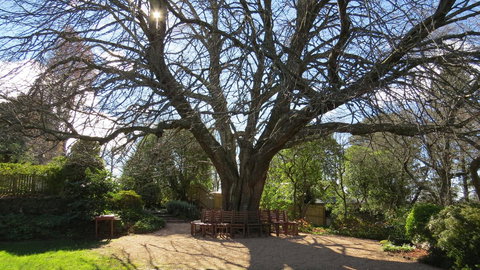 Nesuto Leura Gardens (formerly Waldorf Leura Gardens Resort) - QLD Tourism 3