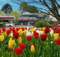 Nesuto Leura Gardens formerly Waldorf Leura Gardens Resort - QLD Tourism