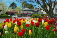 Book Leura Accommodation Vacations QLD Tourism QLD Tourism