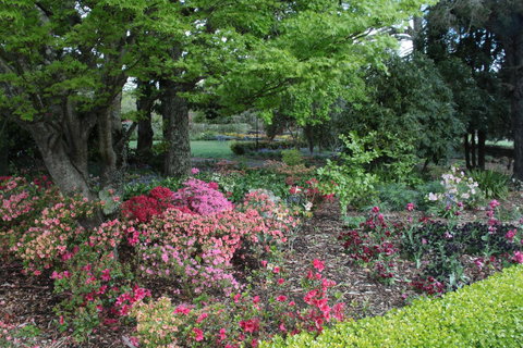 Nesuto Leura Gardens (formerly Waldorf Leura Gardens Resort) - QLD Tourism 2