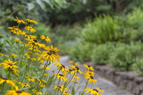 Nesuto Leura Gardens (formerly Waldorf Leura Gardens Resort) - QLD Tourism 16