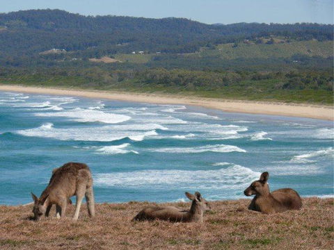 High Tide At Emerald - QLD Tourism 13