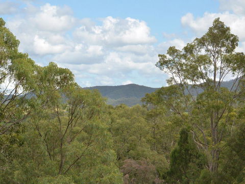 Villa Executive 2br Cypress DS Located Within Cypress Lakes Resort - Queensland Tourism 8