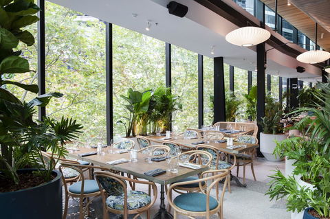 Vibe Hotel North Sydney - QLD Tourism 4