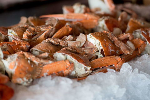 Hyatt Regency Sydney - Queensland Tourism 43