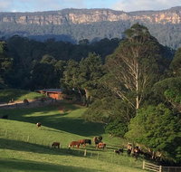 Amaroo Valley Springs - QLD Tourism