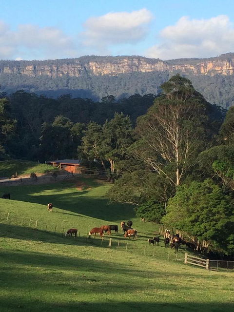 Amaroo Valley Springs - QLD Tourism 0