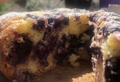 Jenkins Street Guesthouse - QLD Tourism 3