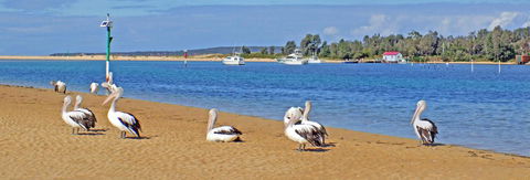 Pelican Motor Inn - QLD Tourism 29