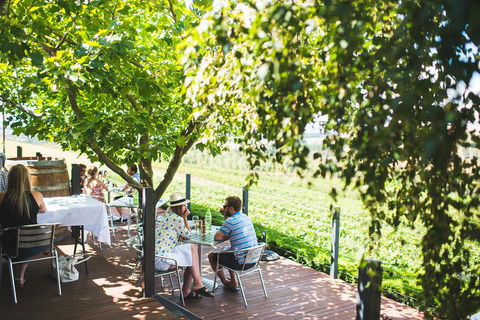 Borrodell Vineyard - QLD Tourism 6