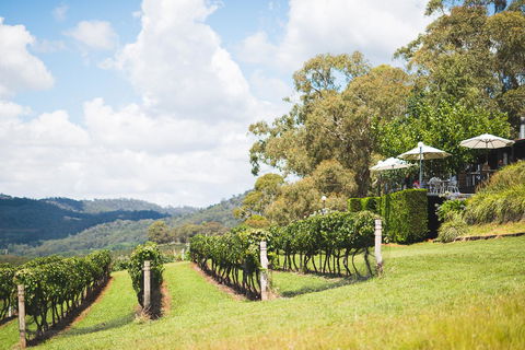 Borrodell Vineyard - QLD Tourism 12