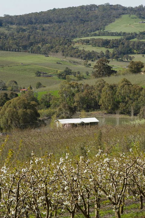 Borrodell Vineyard - QLD Tourism 30