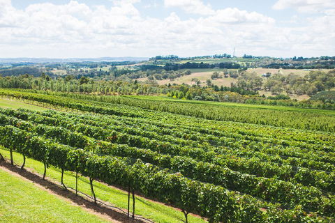 Borrodell Vineyard - QLD Tourism 29