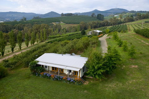 Borrodell Vineyard - QLD Tourism 2