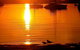Marina Resort - thumb 3