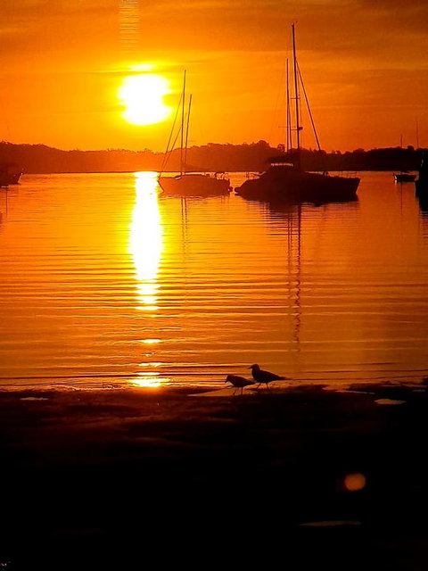 Marina Resort - QLD Tourism 3