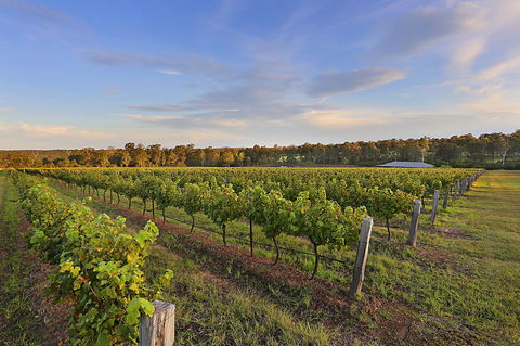 Ironstone Estate Lovedale - QLD Tourism 31