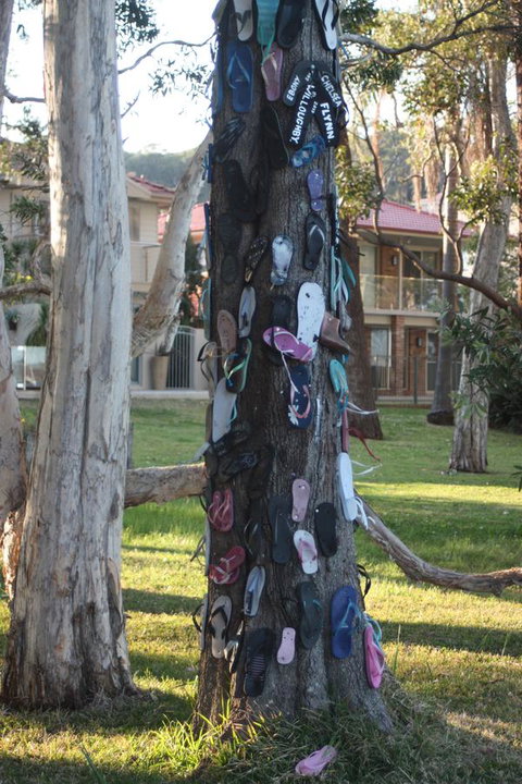 Ambience - QLD Tourism 33
