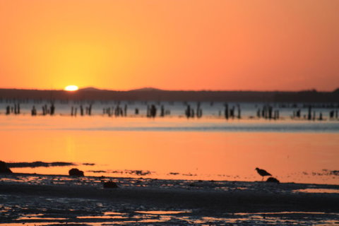 Ambience - QLD Tourism 35