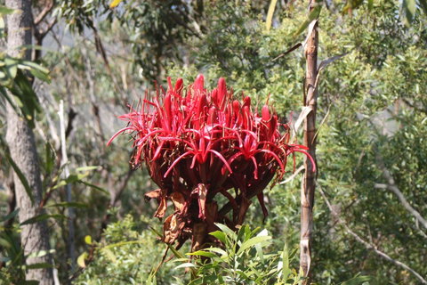 Ambience - QLD Tourism 30