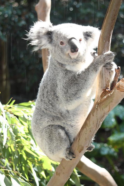 Ambience - QLD Tourism 27