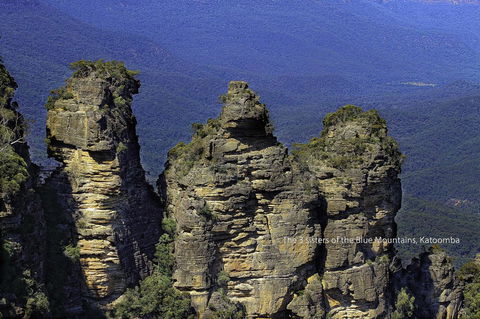 Rest Easy Motel - QLD Tourism 44