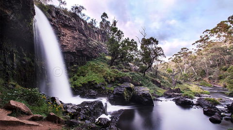 Pound Creek Gallery - QLD Tourism 14