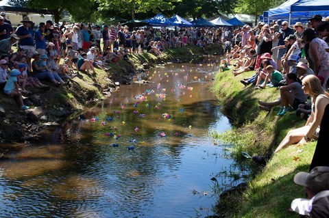 Pound Creek Gallery - QLD Tourism 15